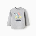 T-shirt à manches longues en coton gris pour bébé garçon « Amis ».