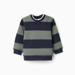 Sweat-shirt rayé pour bébé garçon, bleu foncé/vert