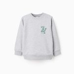 Sweat-shirt à imprimé poitrine pour garçon « ZY Archives », gris chiné