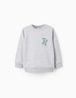 Sweat-shirt à imprimé poitrine pour garçon « ZY Archives », gris chiné