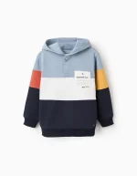 Sweat à capuche en coton à blocs de couleur pour garçons, multicolore
