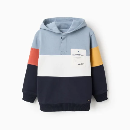 Sweat à capuche en coton à blocs de couleur pour garçons, multicolore