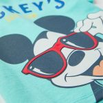 DIS TSHIRT SS JERSEY