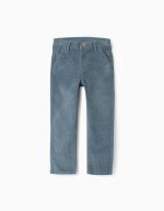 Pantalon en Velours Côtelé Garçon 'Slim', Bleu