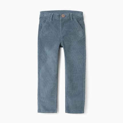 Pantalon en Velours Côtelé Garçon 'Slim', Bleu
