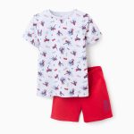 Pyjama en coton garçon 'Spider-Man', gris/rouge