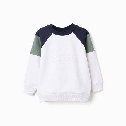 Sweat en coton peigné à manches contrastées pour garçon, multicolore