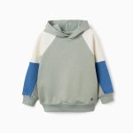 Sweat-shirt à capuche en coton pour garçon, vert/beige/bleu