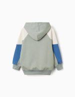 Sweat-shirt à capuche en coton pour garçon, vert/beige/bleu – Image 2