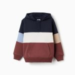 Sweat-shirt à capuche en polaire multicolore pour garçon, à blocs de couleur