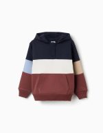 Sweat-shirt à capuche en polaire multicolore pour garçon, à blocs de couleur